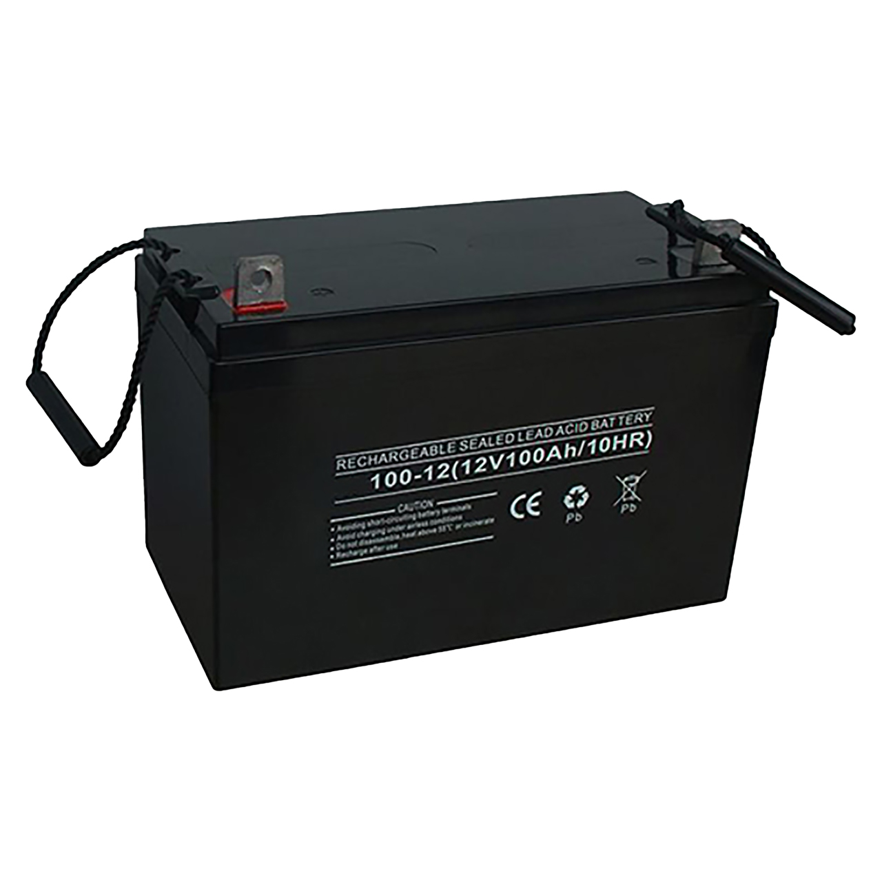 تصویر باتری یو پی اس 100Ah (Ibiza-Platinum-Euronet-Leoch) 